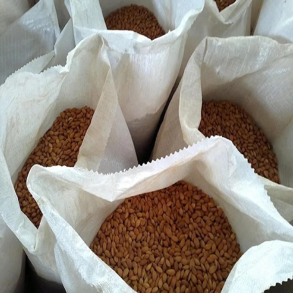 2000 MT Sweet California Almond Nutsトルコ、タイへの輸出