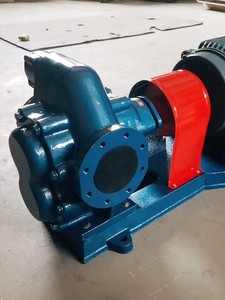 Pompa a Ingranaggi per Olio Greggio in Acciaio Inox Autolubrificante Elettrica a Bassa Pressione con Valvola di Scarico Pressione per Diesel - Product Image 5