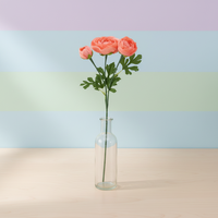 Bunga Ranunculus Sutra Buatan 3 Kepala Besar Warna Putih Pink Realistis untuk Dekorasi Pernikahan, Pesta, dan Rumah - Buatan Tangan, Tahan Lama