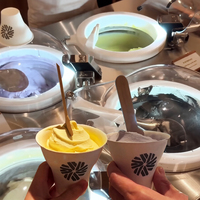 Machine à Glace et Gelato Professionnelle Miles pour la Restauration, Compatible avec le Sirop, 4 Saveurs, Machine à Mélanger