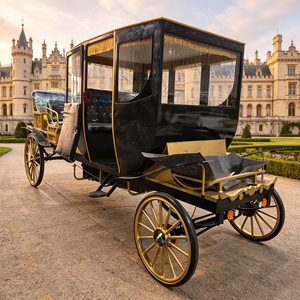 Gran Oferta: Carruaje Eléctrico Zhenda Negro Estilo Real de Henan para Hoteles, Bodas y Transporte Presidencial Vintage - Product Image 1