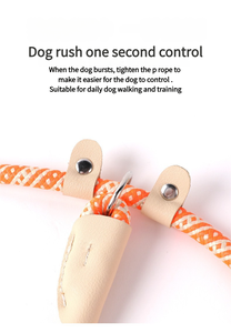 Correa y Collar para perros de varios colores, cuerda P de plomo, entrenamiento para caminar al aire libre, correas duraderas para perros, accesorios para perros - Product Image 3