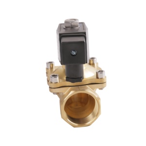 ZX202 Series Two-position Two-way 220V pilot Assembly Integrated Brass Solenoid - Product Image 3
