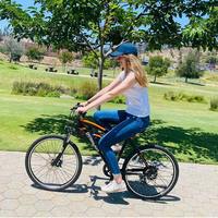 Nouveau design vélo électrique pour la livraison vélo Shenzhen S1 batterie au lithium 48V moyeu arrière moteur LED affichage en alliage d'aluminium 7 vitesses