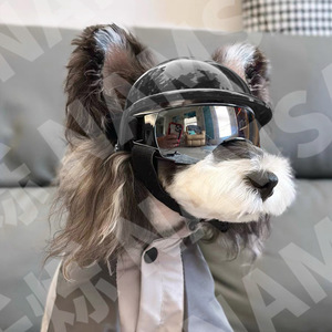 Casque et Lunettes de Protection pour Chien – Ensemble Tendance en Plastique pour Petits et Moyens Chiens – Accessoire de Tête Cool et Durable pour Toutes Saisons - Product Image 1