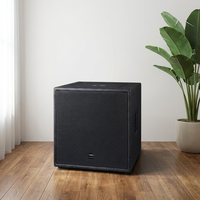 Subwoofer passif Thinuna T-15B II simple 15 pouces, 800W AES 8Ω, aimant en ferrite, bobine vocale de 4,5 pouces, haut-parleur de basses professionnel pour scène