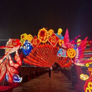 2025 cá nhân lớn trang trí đèn lồng cho lễ hội trung thu & Lễ Hội đèn lồng ngoài trời không thấm nước - Product Image 3