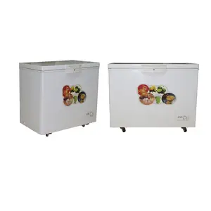 Fabriek Direct 30l 40l 50l Outdoor Zonne-Koelkast Koelkast Dc 12V 24V Koude Drank Koelkast Voor Thuis En Buiten