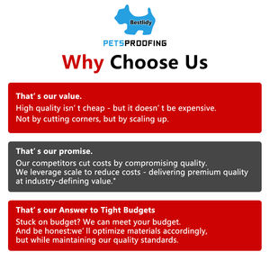 Cage vétérinaire de luxe robuste en acier inoxydable murs solides modulaires chenil <span class=keywords><strong>pour</strong></span> l'élevage de chiens <span class=keywords><strong>pour</strong></span> les cliniques de chats magasins vétérinaires - Product Image 4