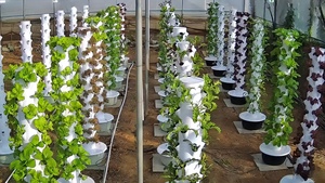 Torre hidropónica para interiores <span class=keywords><strong>con</strong></span> luces de <span class=keywords><strong>cultivo</strong></span> LED Torre hidropónica para verduras frondosas de 12 niveles - Product Image 6