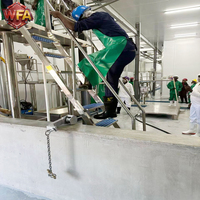 Machinerie d'abattage de bétail à haute efficacité, équipement professionnel de transformation de la viande, solutions personnalisées pour l'abattage des bovins