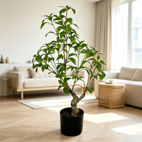 Arbre artificiel de Pieris vert haute simulation de 70 cm, plantes artificielles de type bonsaï pour la décoration intérieure de la maison et du bureau