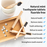 Comprimés de dentifrice naturel à la menthe fraîche de marque privée 62 onglets de recharge format voyage anti-carie à usage domestique