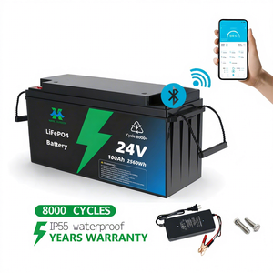 Pin Lithium LiFePO4 năng lượng mặt trời <span class=keywords><strong>24V</strong></span> <span class=keywords><strong>100Ah</strong></span>, chu kỳ sâu, 6000 chu kỳ, hàng kho nhà máy - Product Image 1