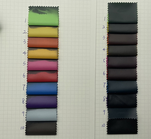 <span class=keywords><strong>Tissu</strong></span> thermochromique en polyester en stock <span class=keywords><strong>pour</strong></span> la vente en gros, <span class=keywords><strong>tissu</strong></span> sensible à la chaleur changeant de couleur, <span class=keywords><strong>tissu</strong></span> de mode <span class=keywords><strong>pour</strong></span> manteau, veste matelassée, <span class=keywords><strong>doudoune</strong></span> - Product Image 4