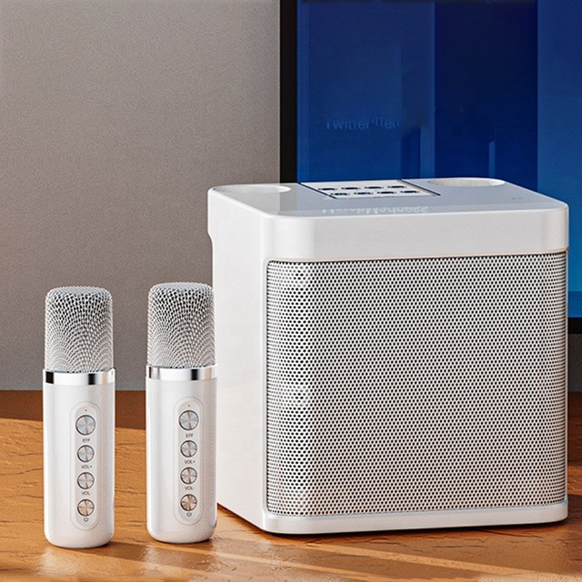 Home Hifi Audio Speaker Effect Wireless Microphone Party KTV Bluetooth Speaker Karaoke Subwoofer Portable Mic Karaoke Family OEM
