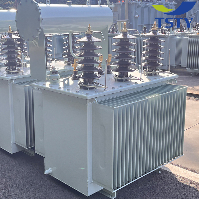TSTY 13.8kv Transformer Outdoor 3 Phase Power Electrical 50kva 100kva 200kva 300kva 400kva 1000kva Oil Immersed Transformer