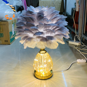 Phong cách mới trang trí nội thất bán buôn hiện đại màu trắng và vàng bàn ánh sáng đà điểu lông cạnh giường ngủ LED bảng đèn - Product Image 6