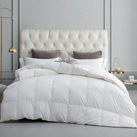 Quilts haut de gamme Sheraton Intercontinental St. Regis Hilton Marriott Quilts Textile Respirant 100% Coton Duck Quilt Core