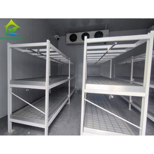 Étagère à double niveau pour la culture de graines, pour la clonage en agriculture, serre, salle de clonage - Product Image 4