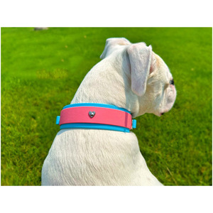 Collier pour chien en PVC bicolore personnalisé, à libération rapide, anti-évasion, résistant à la moisissure, protection UV, toutes saisons - Product Image 1