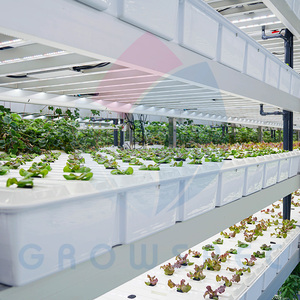 Growspec trong nhà dọc hệ thống canh tác | thủy canh phát triển kệ với LED phát triển đèn - Product Image 5