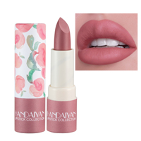 Rouge à lèvres hydratant mat nouvelle couleur / Rouge à lèvres finition satinée : Velours doux longue tenue, couleur nude transfrontalière.