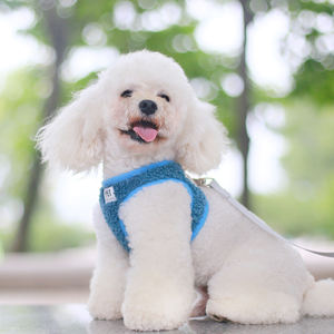 สายจูงสุนัขกำมะหยี่นุ่มลายหมีเท็ดดี้แบร์นุ่มพร้อมสายจูงปรับได้กลางแจ้งเสื้อกั๊กไม่ดึงสายรัดอกสุนัขแบบฟัซซี่พร้อมสายจูง - Product Image 4