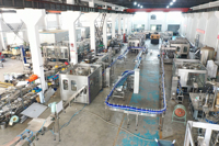 Machine de remplissage et de remplissage d'eau automatique 3 en 1, 2 m, 500ML, pour bouteilles minérale pure, ligne de production de plantes