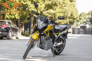 Motocicleta Retro con Batería de Litio Extraíble de 50AH para Adultos, Apta para Diferentes Terrenos, 2000w 3000w FE - Product Image 6