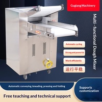 Nouvelle machine à pétrir la pâte et à presser les nouilles entièrement automatique de type 350 en acier inoxydable, pour la préparation de pains vapeur et de raviolis, usage commercial