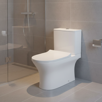 Cuvette de toilette en deux parties à double chasse d'eau de conception industrielle Siphonic Super Jet Washdown Hotels Options allongées P-Trap S-Trap à bas prix