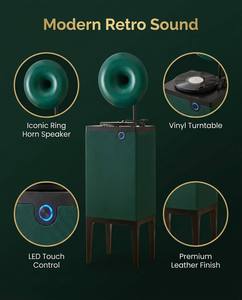 Caixa de Som Gramofônica Moderna de Luxo com Tela de Exibição e Controle Remoto para Sala de Estar C-H2 Estéreo Retro de Canal Duplo - Product Image 3