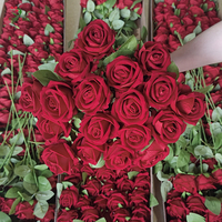 Fleurs de Rose Artificielle en Velours de Soie Rouge de 50 cm, Branche Unique de 7 cm, Qualité Supérieure, en Gros et en Vrac, Pas Chères, Usine Honghua, pour Décoration