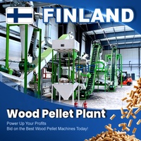 Planta de Pellets de Madera de Alta Eficiencia Energética RICHI 5 T/H Finlandia, Línea Profesional de Pellets de Biomasa con Gran Capacidad y Soporte en Línea