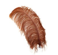 Plumes d'autruche de 30 à 35cm, marron, naturel, pour fête, carnaval, maison, mariage, noël, décoration florale
