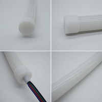 Lumière néon ronde à 360 degrés, diamètre 20 mm, 22 mm, 25 mm, 40 mm, bande lumineuse néon LED, 24 V, bande flexible néon LED RVB, étanche IP67