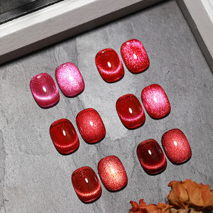 AILANUO Vernis Gel Œil de Chat 6 Couleurs Empress OEM/ODM, Vernis à Ongles Gel Œil de Chat, Fournitures de Manucure en Gros Gratuites - Product Image 3