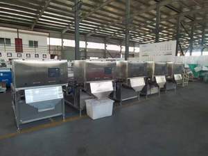 Máquina Clasificadora de Granos de Café Cherry de Alta Precisión, Equipo de Clasificación Óptica CCD AI, CE - Product Image 5