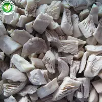 Wholesale export fresh raw oyster mushroom 1kg price frozen pleurotus ostreatus for buyers