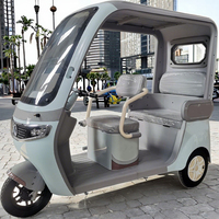 Tricycle électrique chinois NLX 2025, 3 places, carrosserie ouverte, frein à tambour avant, pour adultes, 501-800W, 48V, 30Km/h, certifié CE, catégorie 25