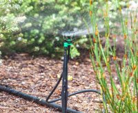Arroseur de pulvérisation Micro Fogger à la demande pour fruits et légumes de culture de champ de pelouse de paysage du fournisseur indien