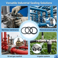 Joint torique hydraulique et pneumatique en NBR, FKM, EPDM, silicone, sur mesure, métrique et impérial, pour usine OEM/ODM en gros