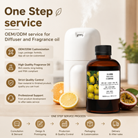 Diffuseur de parfum mural tendance 2026 H2, 200 ml, autonomie ultra-longue, pour la maison, la salle de bain, l'hôtel, les espaces publics, sans eau