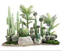 Bonsaï artificiel en plastique réaliste, variété de succulentes, cactus et fleurs, mini-plantes en pot en gros