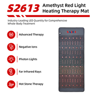 Thérapie par lumière rouge infrarouge PEMF portable pour le corps entier, 660 nm 850 nm, cristaux d'améthyste, 6 bobines, 100 Gauss, 156 LED, relaxation musculaire
