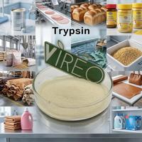 Poudre d'enzyme trypsin de qualité alimentaire 99% Vente en gros Supplément de trypsin Trypsin