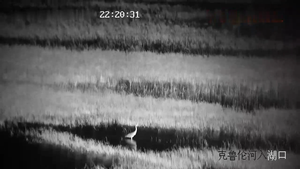 Grenze Sicherheit 3Km <span class=keywords><strong>IR</strong></span> Laser Nachtsicht 62x Optische Zoom PTZ Kamera - Product Image 6