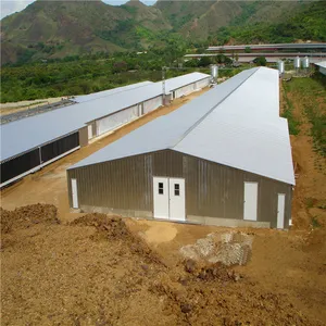 Estructura de acero para pollos, casa para gallinas, pollos, granja de aves de corral