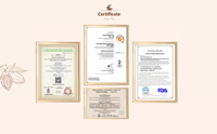 Approvisionnement direct usine : Masse de cacao naturelle de haute pureté, issue de fèves de cacao d'Afrique de l'Ouest, en gros pour la fabrication de chocolat